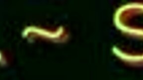 Player 457 Slams with Monster Cock and Big Ass