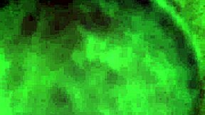 Serbian stud boldly strokes his hard cock in solo action.