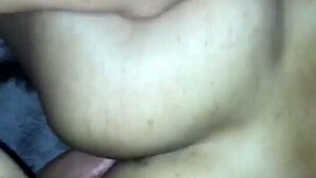 Gay amateur twinks get rough with blowjobs and anal action.