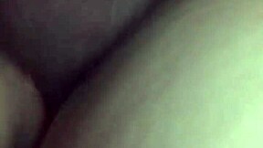 Gay amateur twinks get rough with blowjobs and anal action.