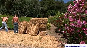 I’m aching for those farmboys banging on the hay!