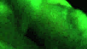 Playing Wild with My Latino Cock?