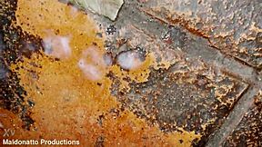 Married stud drilled hard, cums with dick inside, then bolts.