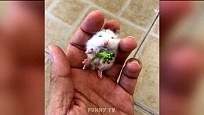 sexy man gives blowjob to big monster cock