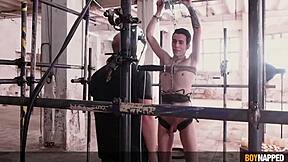 Dom daddy says time to rim and fuck those twink subs' asses